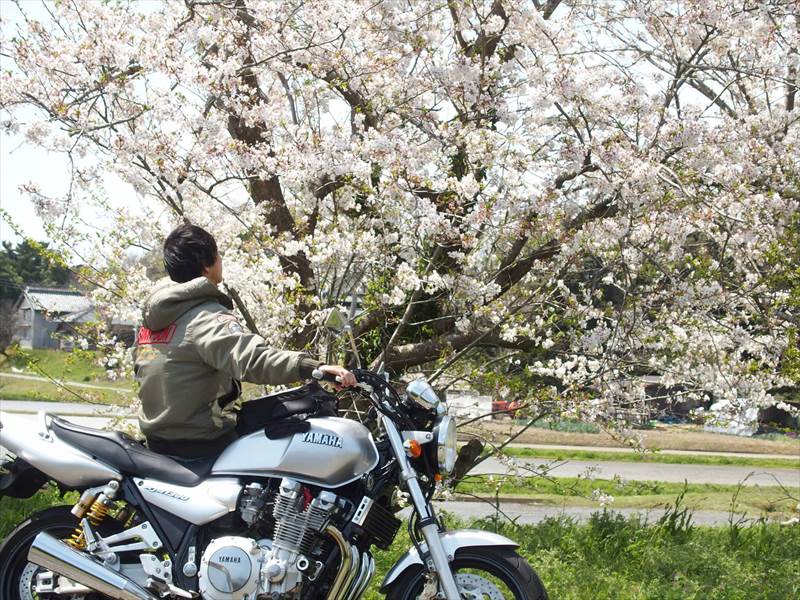 桜とバイクと僕の写真